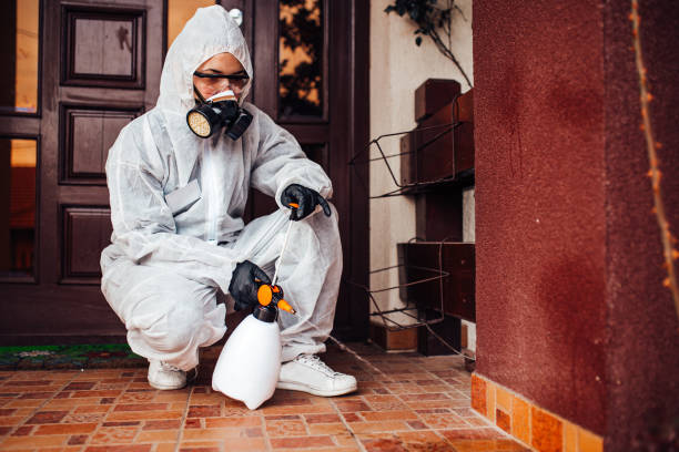 Reliable Wasp Removal contractor in Lake Elmo, MN by Show Me Pest Control